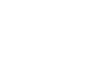 Digital Innovation Business